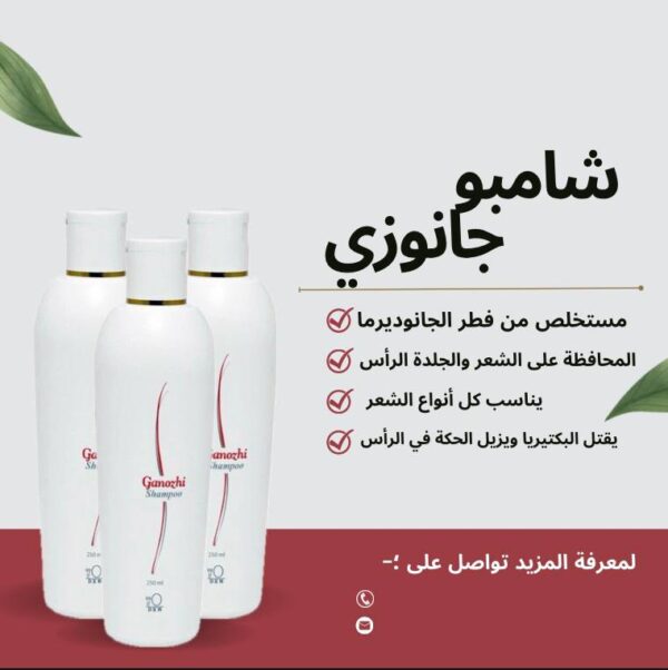 شامبو جانوزي PH